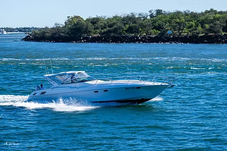 Smarter Marine Adventures: Why Water Tracking with Topargee is a Game-Changer